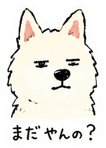 842966418