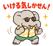 842966494