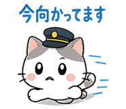 842966920