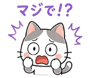 842966930