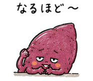 842968193