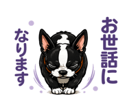 842968256