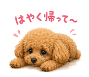 842968259