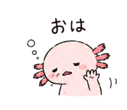 842969057