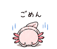 842969073