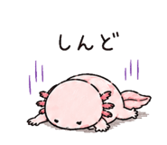 842969076