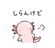 842969079