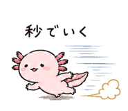 842969080