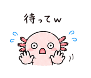 842969081