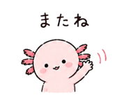 842969087