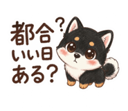 842969205
