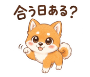 842969206
