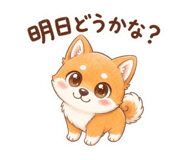 842969209