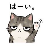842969707
