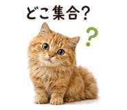 842969966