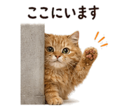 842969967