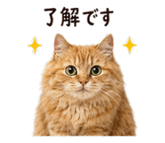 842969968