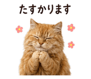 842969970