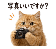 842969973