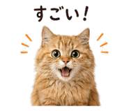 842969979