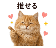 842969980