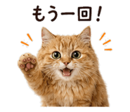 842969985