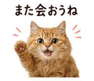 842969988
