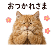 842969989