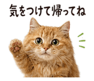 842969990