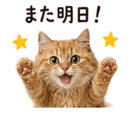 842969992