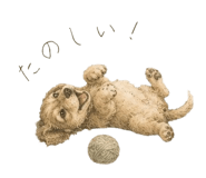 842970245