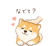 842970306