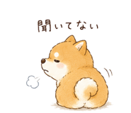842970309