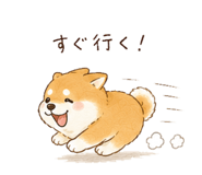 842970312