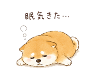 842970313