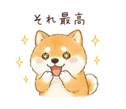 842970315