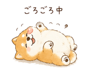 842970319