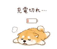842970322