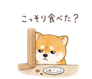 842970325