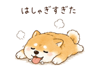 842970334