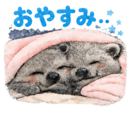 842970498