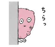842970573