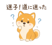 842970603
