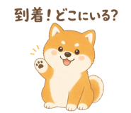 842970608