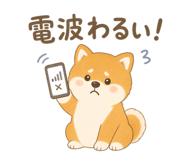 842970613