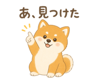 842970617
