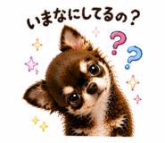 842970818