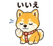 842971195