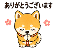 842971203