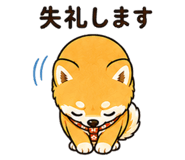 842971207